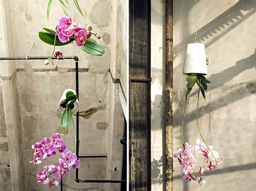 Grow indoor plants upside down with Sky Planters